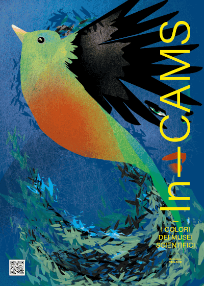 quetzal anim
