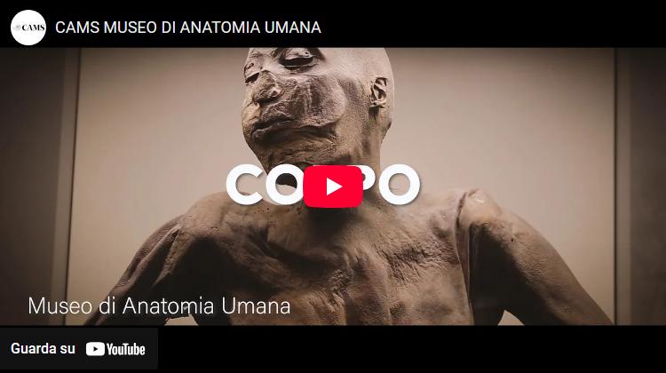video orto medievale