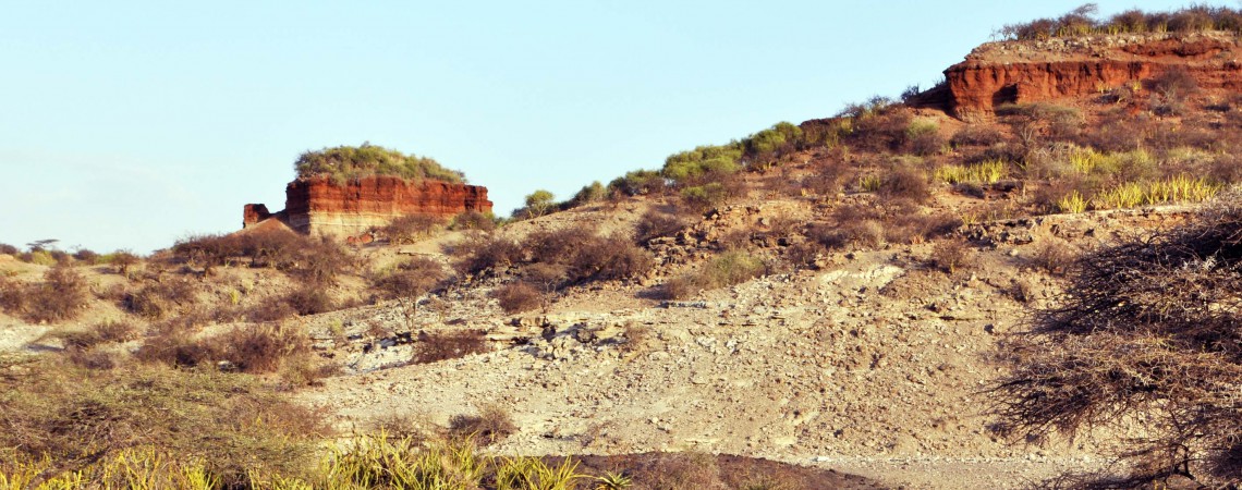 Le Gole di Olduvai