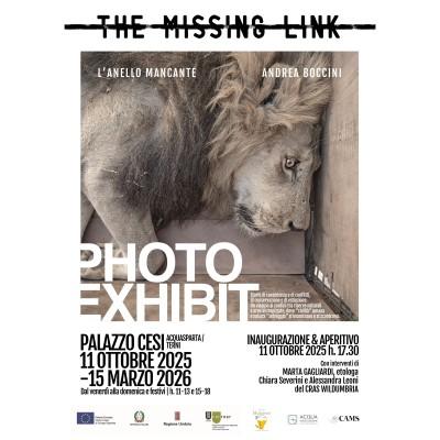 The missing link