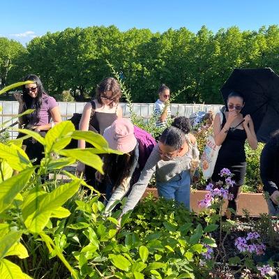 Erasmus alla scoperta della sostenibilità all&#039;Orto botanico