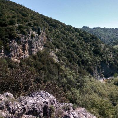 Il 26 giugno serata speciale per il Bosco delle Sette Valli