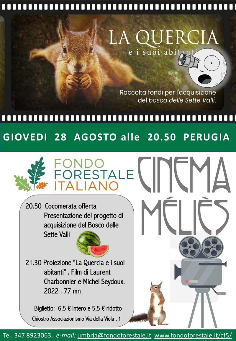 locandina proiezione film 28 agosto perugia.rid