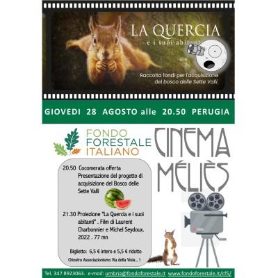 La quercia e i suoi abitanti 