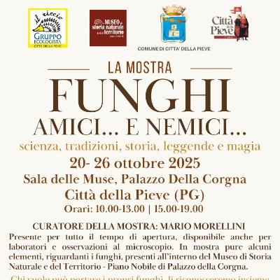 Funghi: amici... e nemici