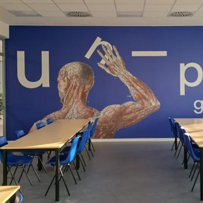 Sinergie universitarie