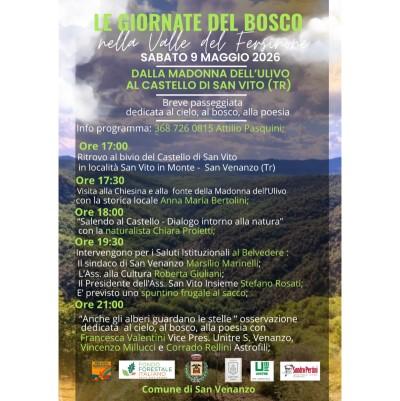 Le Giornate del Bosco nella valle del Fersinone