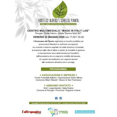 Fratello Albero Sorella Pianta