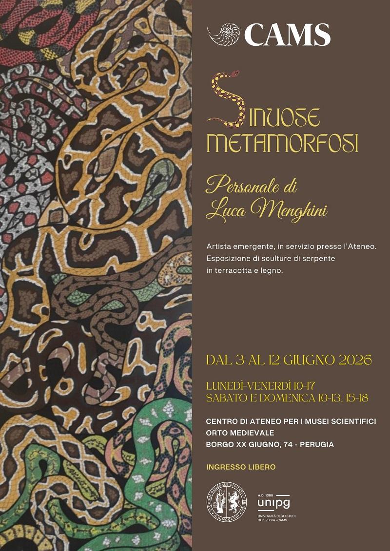 sinuose metamorfosi locandina pag1