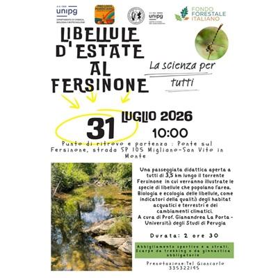 Libellule d'estate al Fersinone 