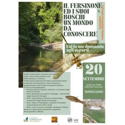 Il Fersinone ed i suoi boschi