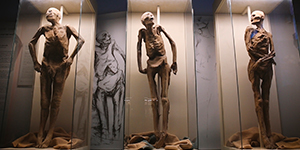 Museo di Anatomia Umana